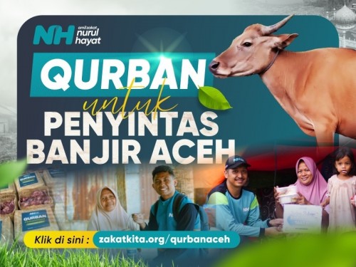 Sapi 1 Ekor (+-250 Kg ) Salur Aceh