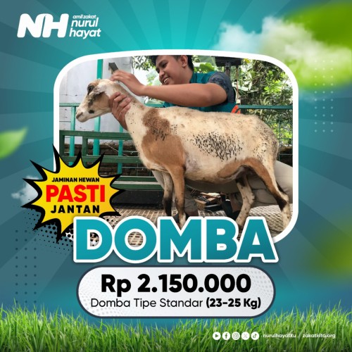 Domba Standar (23 - 25 Kg)

